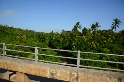 DSC_8523 (Large).JPG